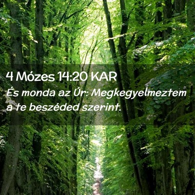 Picture 02 - 4 Mózes 14:20 KAR - És monda az Úr: Megkegyelmeztem a te beszéded - Bible Verse Picture