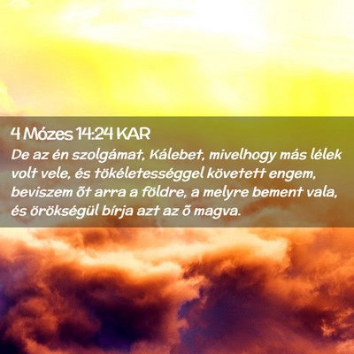 Picture 02 - 4 Mózes 14:24 KAR - De az én szolgámat, Kálebet, mivelhogy más - Bible Verse Picture