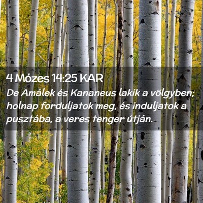 Picture 02 - 4 Mózes 14:25 KAR - De Amálek és Kananeus lakik a völgyben; holnap - Bible Verse Picture