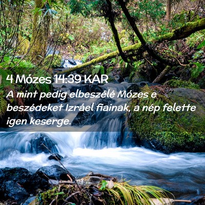 Picture 02 - 4 Mózes 14:39 KAR - A mint pedig elbeszélé Mózes e beszédeket - Bible Verse Picture