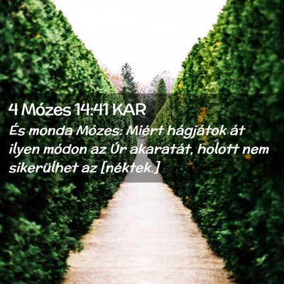 Picture 02 - 4 Mózes 14:41 KAR - És monda Mózes: Miért hágjátok át ilyen - Bible Verse Picture