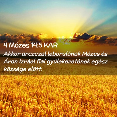 Picture 02 - 4 Mózes 14:5 KAR - Akkor arczczal leborulának Mózes és Áron - Bible Verse Picture
