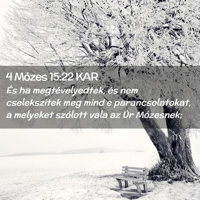 Picture 02 - 4 Mózes 15:22 KAR - És ha megtévelyedtek, és nem cselekszitek meg - Bible Verse Picture