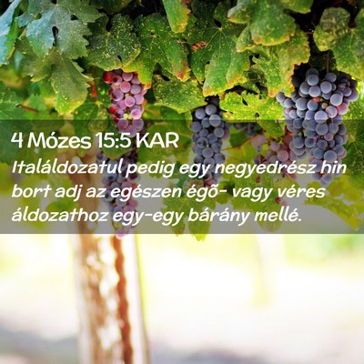 Picture 02 - 4 Mózes 15:5 KAR - Italáldozatul pedig egy negyedrész hin bort adj - Bible Verse Picture