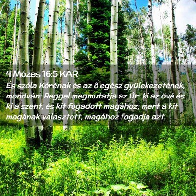 Picture 02 - 4 Mózes 16:5 KAR - És szóla Kórénak és az õ egész - Bible Verse Picture