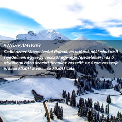 Picture 02 - 4 Mózes 17:6 KAR - Szóla azért Mózes Izráel fiainak, és adának - Bible Verse Picture