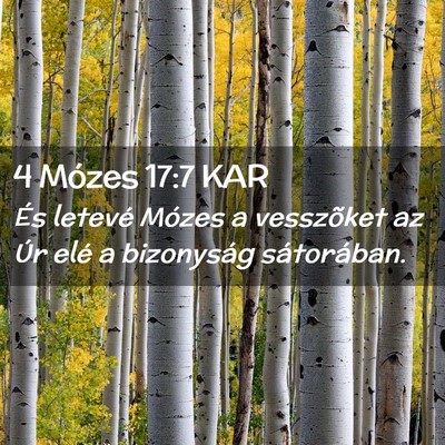 Picture 02 - 4 Mózes 17:7 KAR - És letevé Mózes a vesszõket az Úr elé a - Bible Verse Picture