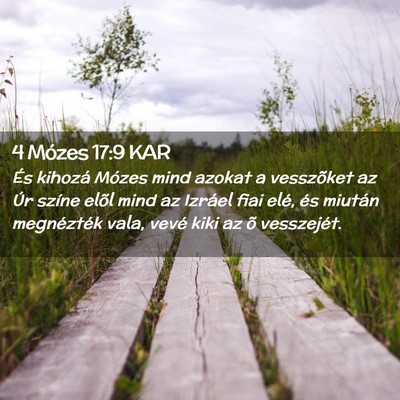 Picture 02 - 4 Mózes 17:9 KAR - És kihozá Mózes mind azokat a vesszõket az - Bible Verse Picture