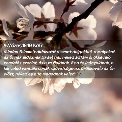 Picture 02 - 4 Mózes 18:19 KAR - Minden felemelt áldozatot a szent dolgokból, a - Bible Verse Picture