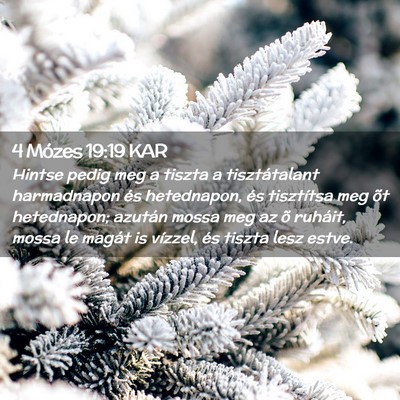 Picture 02 - 4 Mózes 19:19 KAR - Hintse pedig meg a tiszta a tisztátalant - Bible Verse Picture