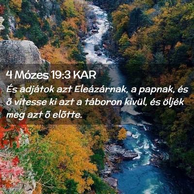 Picture 02 - 4 Mózes 19:3 KAR - És adjátok azt Eleázárnak, a papnak, és õ - Bible Verse Picture