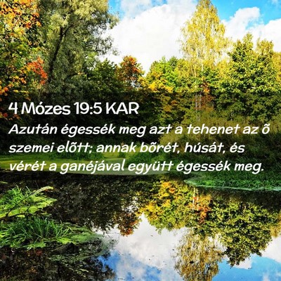 Picture 02 - 4 Mózes 19:5 KAR - Azután égessék meg azt a tehenet az õ szemei - Bible Verse Picture