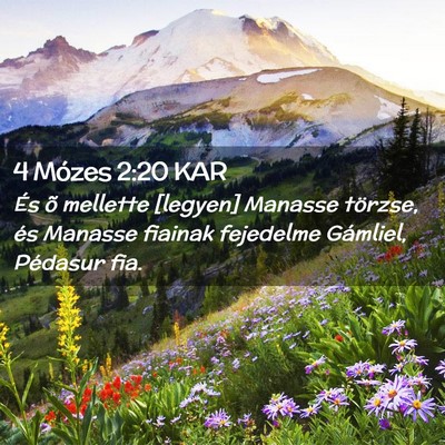 Picture 02 - 4 Mózes 2:20 KAR - És õ mellette [legyen] Manasse törzse, és - Bible Verse Picture