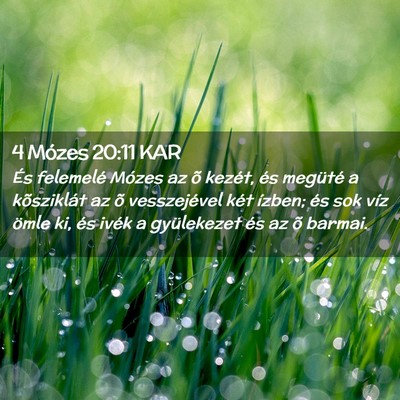 Picture 02 - 4 Mózes 20:11 KAR - És felemelé Mózes az õ kezét, és megüté a - Bible Verse Picture