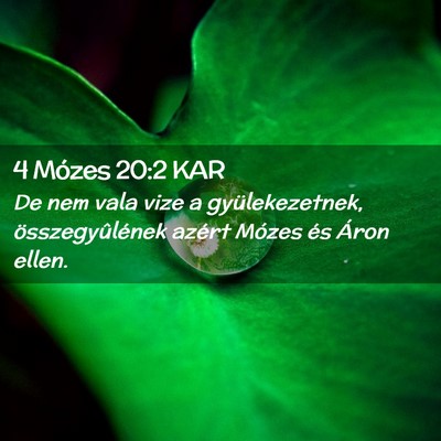Picture 02 - 4 Mózes 20:2 KAR - De nem vala vize a gyülekezetnek, - Bible Verse Picture