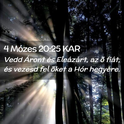Picture 02 - 4 Mózes 20:25 KAR - Vedd Áront és Eleázárt, az õ fiát, és - Bible Verse Picture