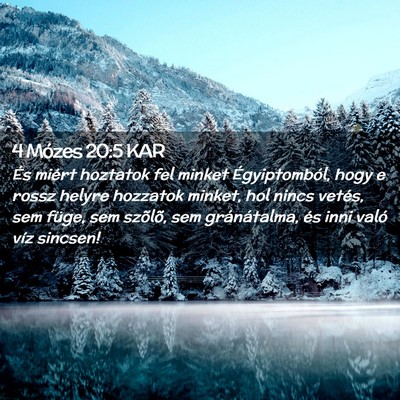 Picture 02 - 4 Mózes 20:5 KAR - És miért hoztatok fel minket Égyiptomból, - Bible Verse Picture