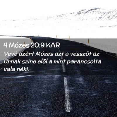 Picture 02 - 4 Mózes 20:9 KAR - Vevé azért Mózes azt a vesszõt az Úrnak - Bible Verse Picture