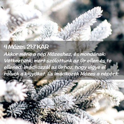Picture 02 - 4 Mózes 21:7 KAR - Akkor méne a nép Mózeshez, és mondának: - Bible Verse Picture