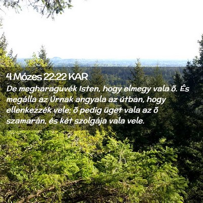 Picture 02 - 4 Mózes 22:22 KAR - De megharaguvék Isten, hogy elmegy vala õ. És - Bible Verse Picture