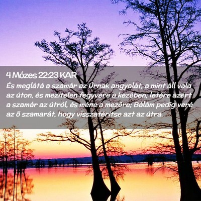 Picture 02 - 4 Mózes 22:23 KAR - És meglátá a szamár az Úrnak angyalát, a - Bible Verse Picture