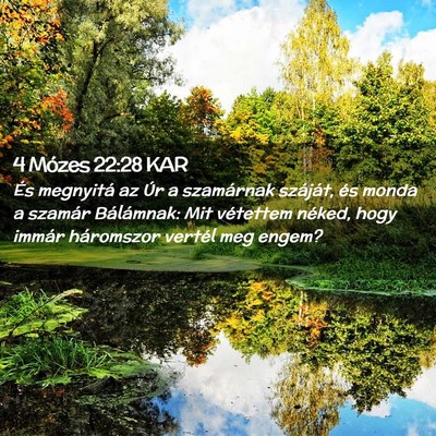 Picture 02 - 4 Mózes 22:28 KAR - És megnyitá az Úr a szamárnak száját, és - Bible Verse Picture