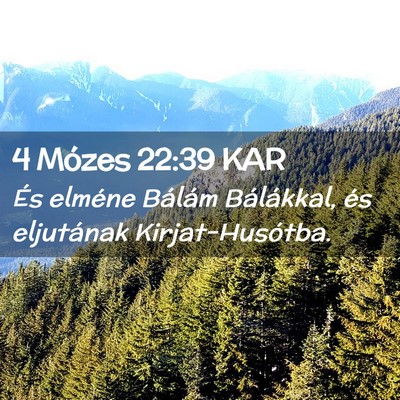 Picture 02 - 4 Mózes 22:39 KAR - És elméne Bálám Bálákkal, és eljutának - Bible Verse Picture