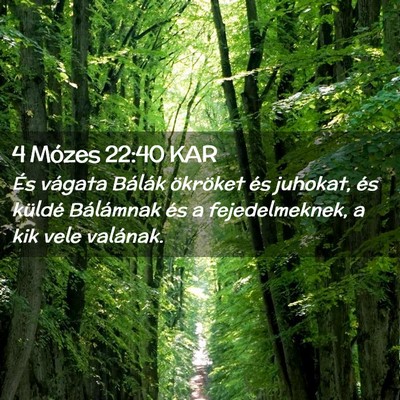 Picture 02 - 4 Mózes 22:40 KAR - És vágata Bálák ökröket és juhokat, és - Bible Verse Picture
