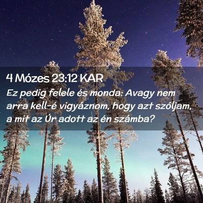 Picture 02 - 4 Mózes 23:12 KAR - Ez pedig felele és monda: Avagy nem arra kell-é - Bible Verse Picture