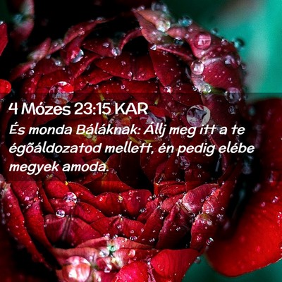 Picture 02 - 4 Mózes 23:15 KAR - És monda Báláknak: Állj meg itt a te - Bible Verse Picture