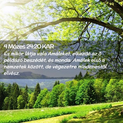 Picture 02 - 4 Mózes 24:20 KAR - És mikor látja vala Amáleket, elkezdé az õ - Bible Verse Picture