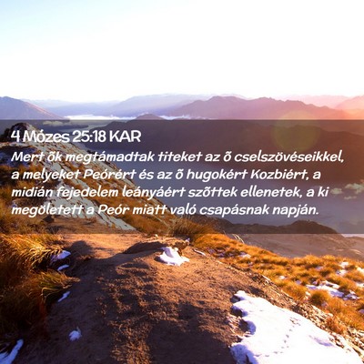 Picture 02 - 4 Mózes 25:18 KAR - Mert õk megtámadtak titeket az õ - Bible Verse Picture
