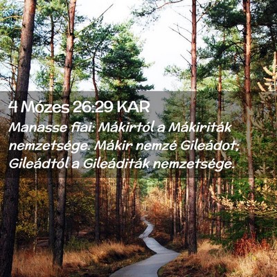 Picture 02 - 4 Mózes 26:29 KAR - Manasse fiai: Mákirtól a Mákiriták - Bible Verse Picture