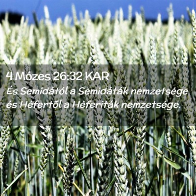 Picture 02 - 4 Mózes 26:32 KAR - És Semidától a Semidáták nemzetsége és - Bible Verse Picture