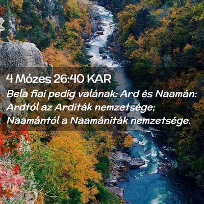 Picture 02 - 4 Mózes 26:40 KAR - Bela fiai pedig valának: Ard és Naamán: - Bible Verse Picture