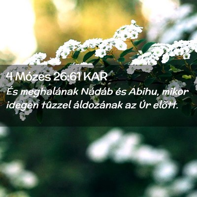 Picture 02 - 4 Mózes 26:61 KAR - És meghalának Nádáb és Abihu, mikor idegen - Bible Verse Picture