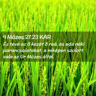 Picture 02 - 4 Mózes 27:23 KAR - És tevé az õ kezét õ reá, és ada néki - Bible Verse Picture