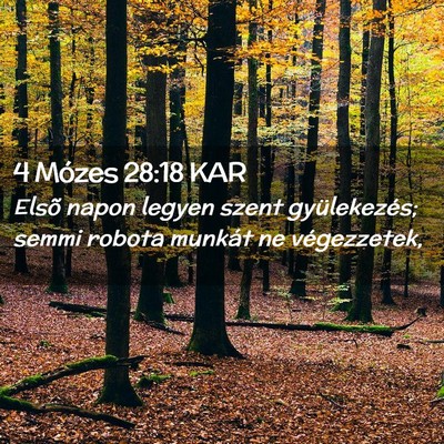 Picture 02 - 4 Mózes 28:18 KAR - Elsõ napon legyen szent gyülekezés; semmi - Bible Verse Picture