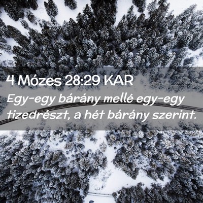 Picture 02 - 4 Mózes 28:29 KAR - Egy-egy bárány mellé egy-egy tizedrészt, a - Bible Verse Picture