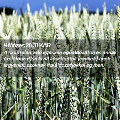 Picture 02 - 4 Mózes 28:31 KAR - A szüntelen való egészen égõáldozaton és - Bible Verse Picture
