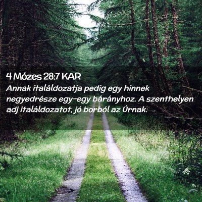 Picture 02 - 4 Mózes 28:7 KAR - Annak italáldozatja pedig egy hinnek - Bible Verse Picture