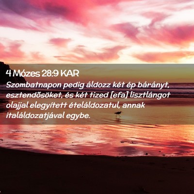Picture 02 - 4 Mózes 28:9 KAR - Szombatnapon pedig áldozz két ép bárányt, - Bible Verse Picture