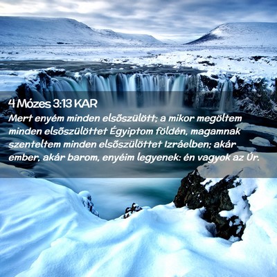 Picture 02 - 4 Mózes 3:13 KAR - Mert enyém minden elsõszülött; a mikor - Bible Verse Picture