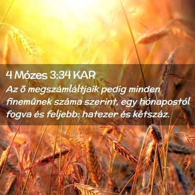 Picture 02 - 4 Mózes 3:34 KAR - Az õ megszámláltjaik pedig minden finemûnek - Bible Verse Picture