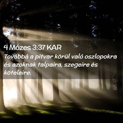 Picture 02 - 4 Mózes 3:37 KAR - Továbbá a pitvar körül való oszlopokra és - Bible Verse Picture