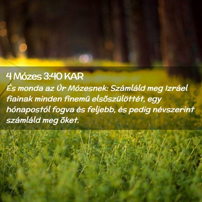 Picture 02 - 4 Mózes 3:40 KAR - És monda az Úr Mózesnek: Számláld meg - Bible Verse Picture