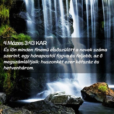 Picture 02 - 4 Mózes 3:43 KAR - És lõn minden finemû elsõszülött a nevek - Bible Verse Picture