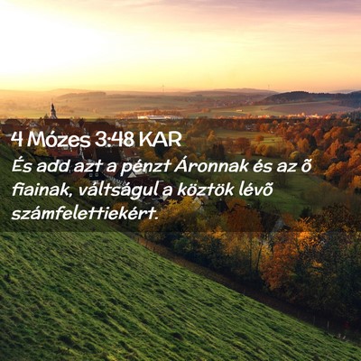 Picture 02 - 4 Mózes 3:48 KAR - És add azt a pénzt Áronnak és az õ fiainak, - Bible Verse Picture
