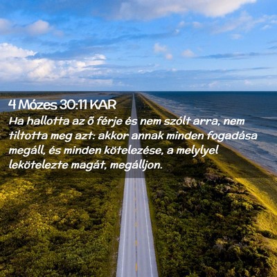 Picture 02 - 4 Mózes 30:11 KAR - Ha hallotta az õ férje és nem szólt arra, nem - Bible Verse Picture