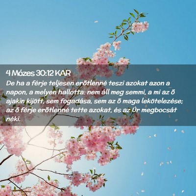 Picture 02 - 4 Mózes 30:12 KAR - De ha a férje teljesen erõtlenné teszi azokat - Bible Verse Picture